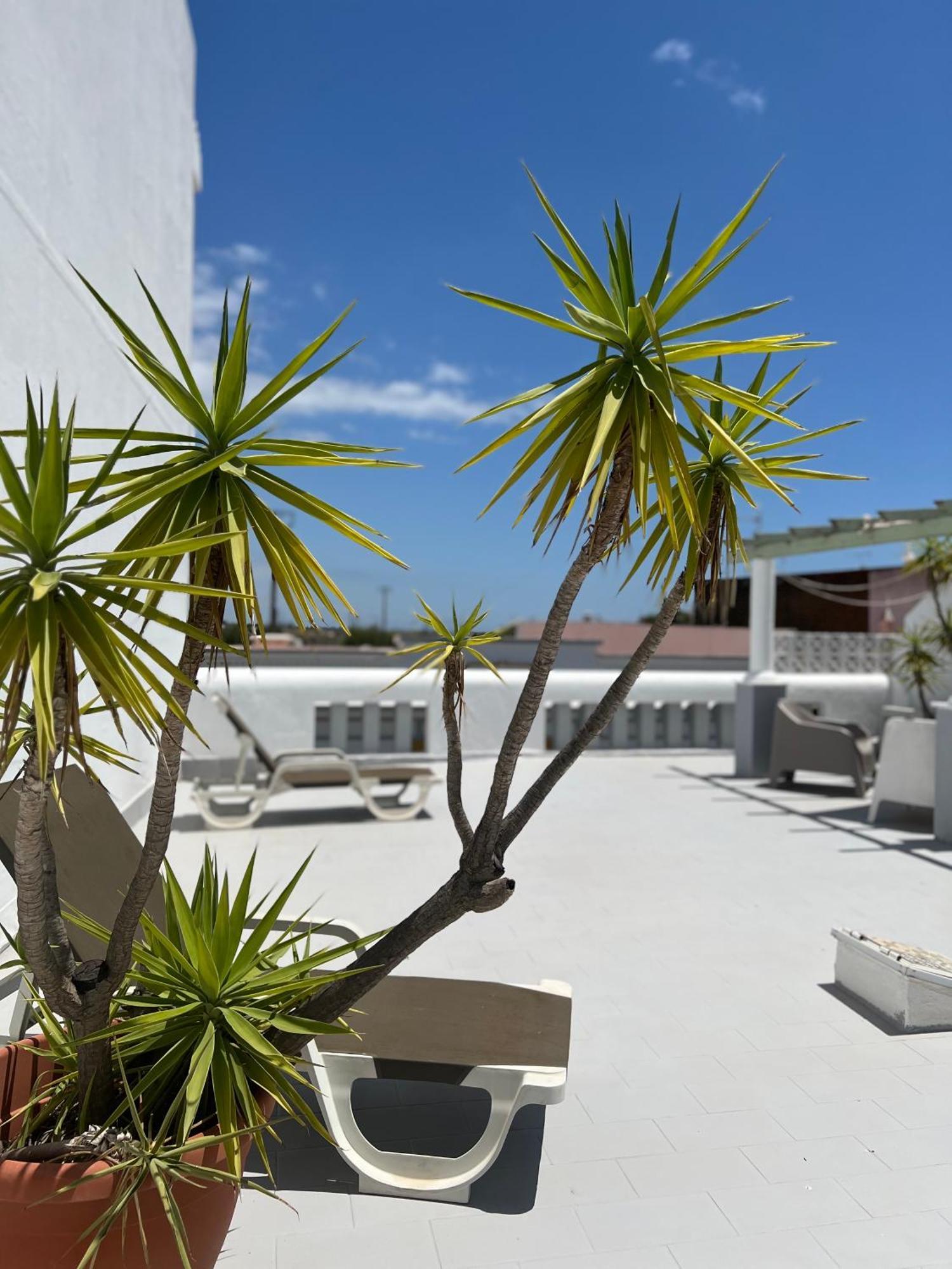Vila Do Sol Fuzeta Extérieur photo